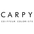 logo carpy le mans