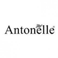 logo antonelle paris nord